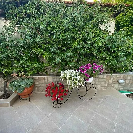 Backyard טורוני