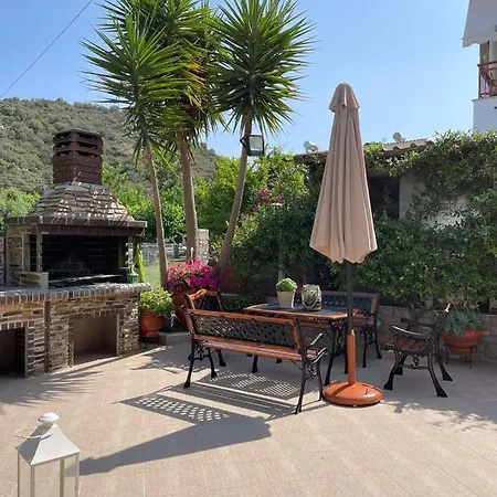 Backyard טורוני