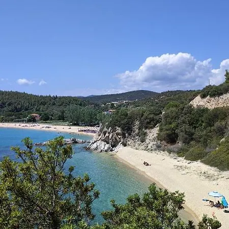 Backyard טורוני