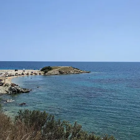 Backyard * טורוני