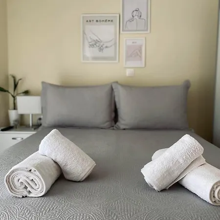 Backyard טורוני