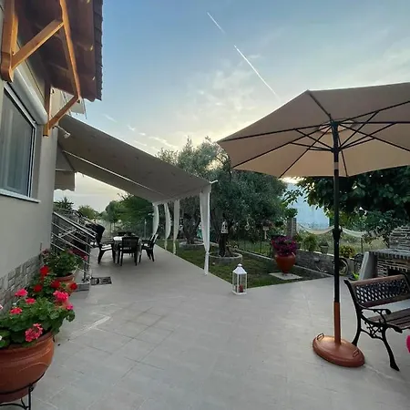 Backyard * 托罗尼