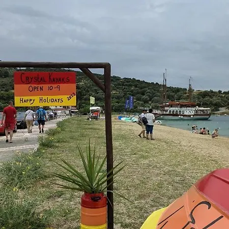 Backyard * 托罗尼