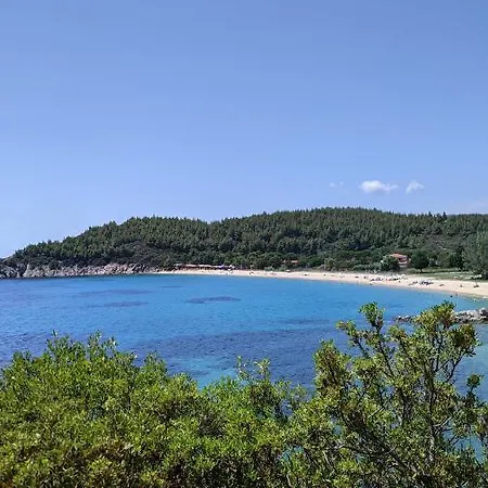 Tatil Evi Backyard *