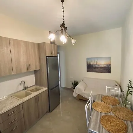 Backyard * 托罗尼