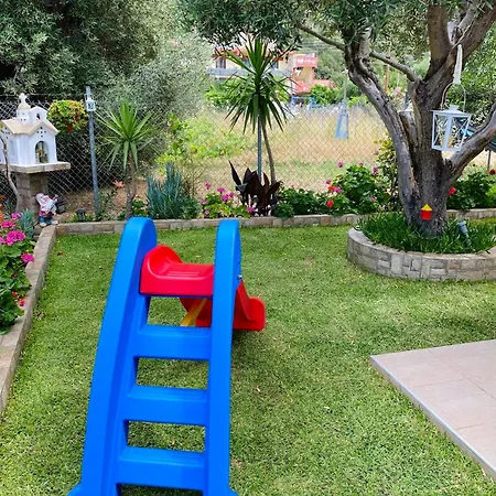 Backyard Toroni