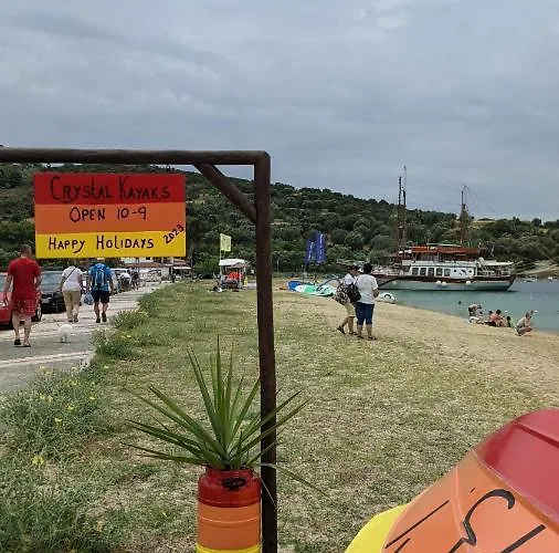 Backyard * Toroni