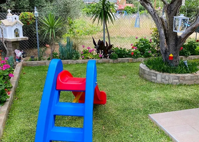 Backyard Toroni